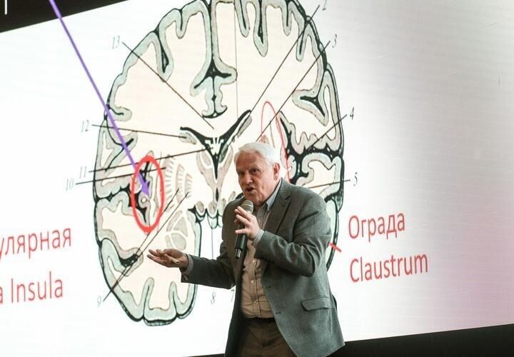 Ученым удалось воскресить мозг после глубокой заморозки. Неужели это правда?