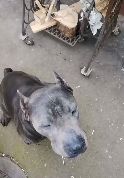 Доброе утро, Кубань!. Краснодар +3…+13 °С