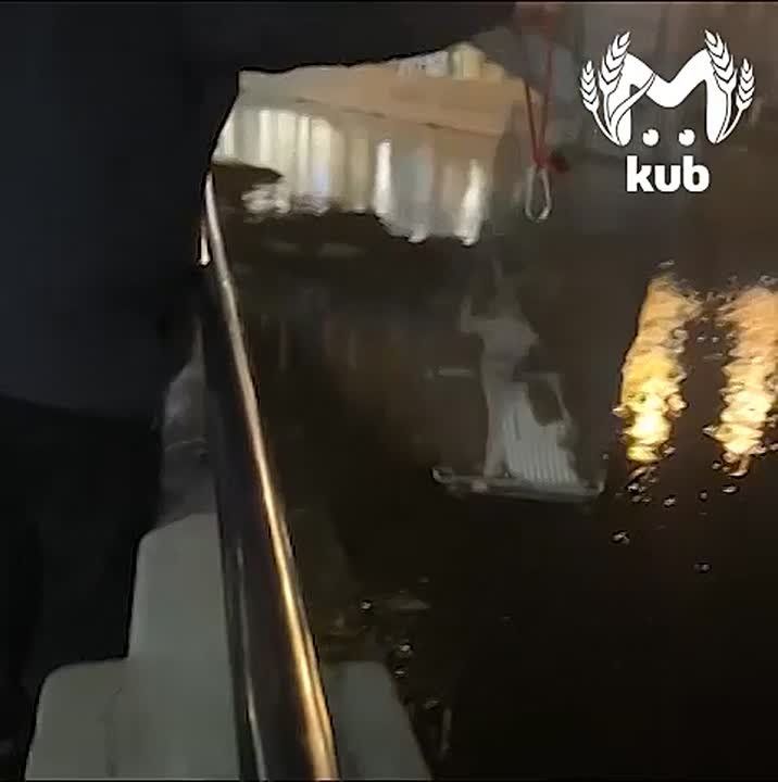 ������ �������� ������� � ���, ��� ������� ������ ���� ������� ������ �� ����