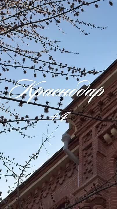 Сегодня Краснодар ждёт солнечная и комфортная погода