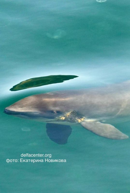 ������ ��� ����� � � ������� ����� ����������� � ������