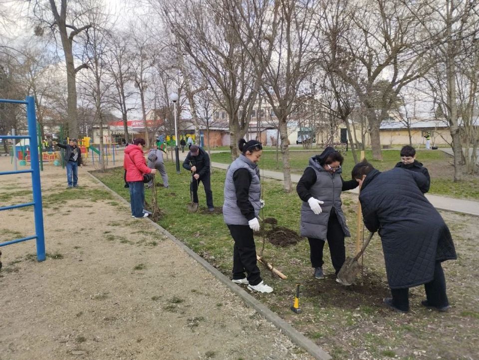 ������� �����, ������� ������, ������ ����� � �������: �������� ������ ���������� ����� �� ����������