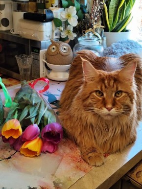 Доброе утро, Кубань!. Краснодар +3…+13 °С