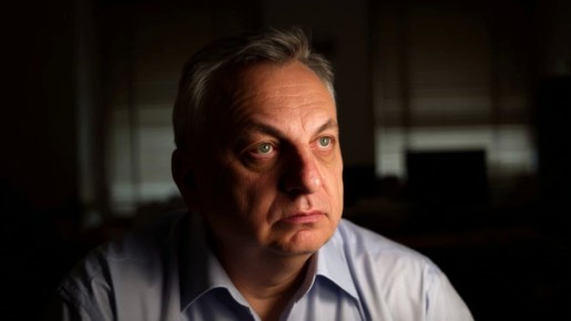 ������� �� ���� � ���� 14 �����. ����� ����� ������ ����������� ����������. "����� ������ ����" ��� ���. �������� ������ � ����������