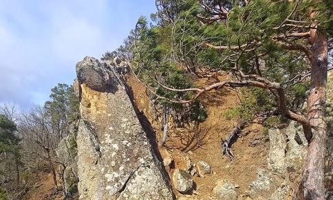 ������ ��������� � ������ �� ������ �� ���������