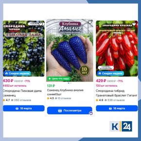 ��-������: ���������� ������� ���������� ������������