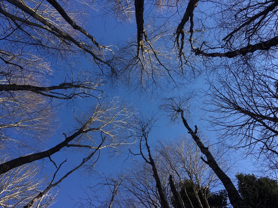 Окончание недели на Кубани будет весенним