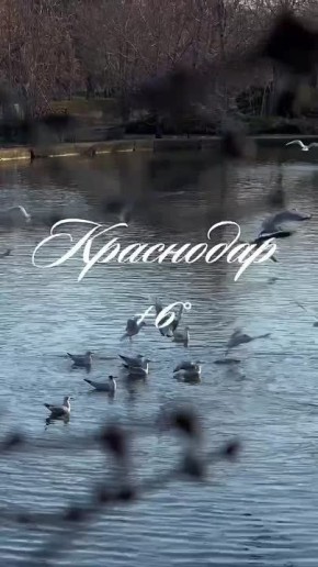 Доброе утро, Краснодар!. Сегодня в городе пасмурно, но так же тепло
