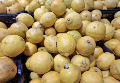 � ������ ��-�� ����� ����� ����� ����� ����� �������� ������