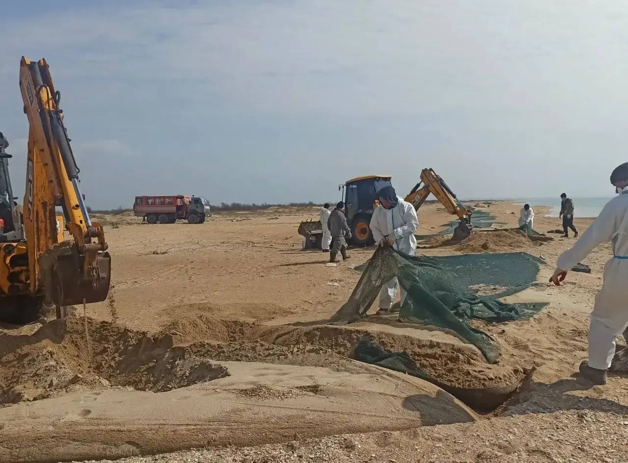 6,8 км сетей осталось убрать с защитного вала на побережье