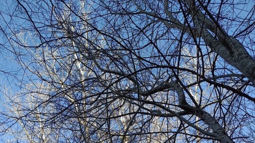 ������ ��������� � ������ �� ������ �� �����������