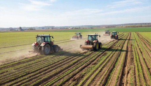 Около 2 млн га в этом году отвели под яровые культуры на Кубани