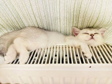 ������������ ����� � ���������� ��������� ��������� � �������� ������