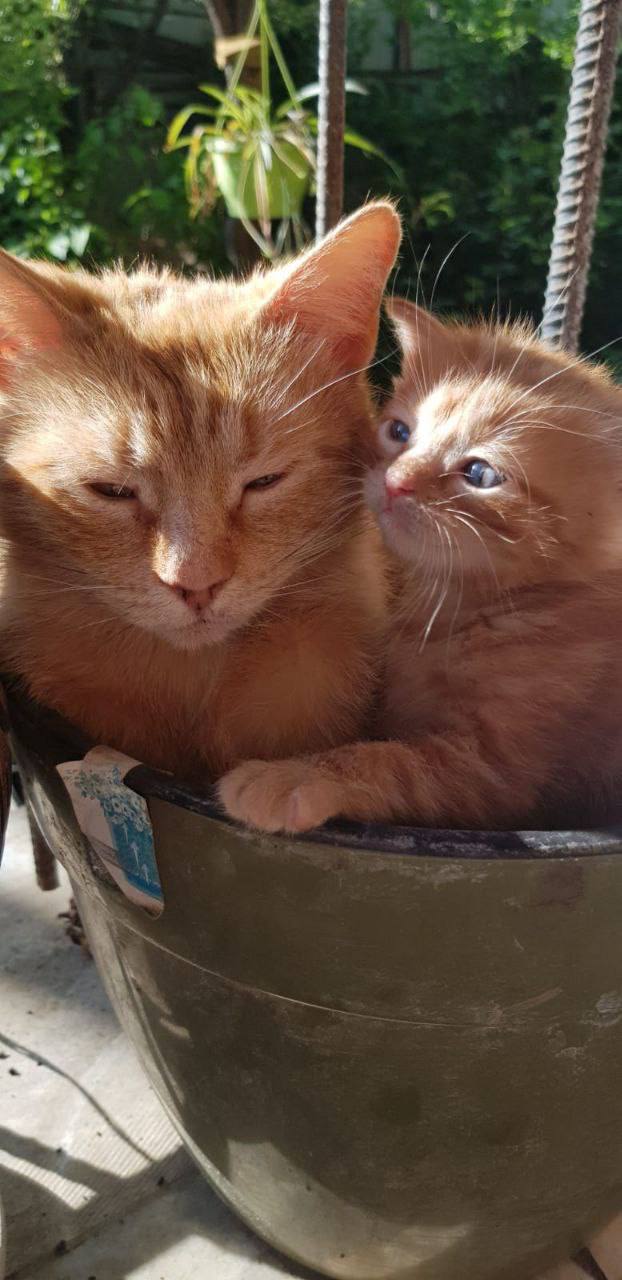 Доброе утро, Кубань!. Краснодар +13 °С