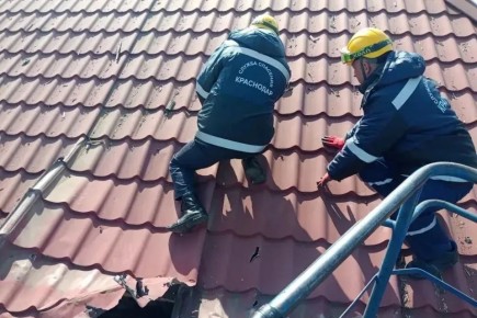 � ���������� ����������� ��� ������������ ����� ������ ����� ������������� ����