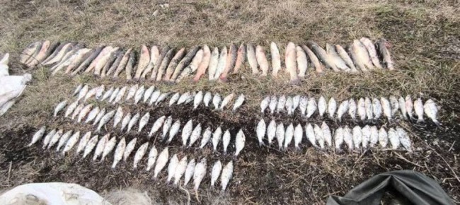 � ������ ������ ��������� ������� ������ ������ 140 ��� � ����� ��� ��������� ����