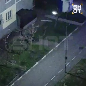 ������� SHOT ��������� ����� � ����������� � ���������� � ������������� �� ����� ������������� ����