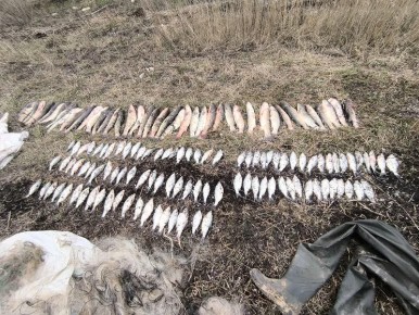 ����� 140 ������ ��������� � ������ ��������� ������� ������� � ������������ ������