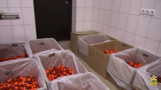 Станки и жидкость для вейпов на 362 млн изъяли у отца и дочери в Краснодаре