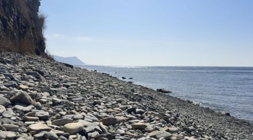 �������� ����������: ������� ������� �� ���������� ������ �������� ������ ����� �� ���� ������� ����� �� ��������� ������ �� ������� ����