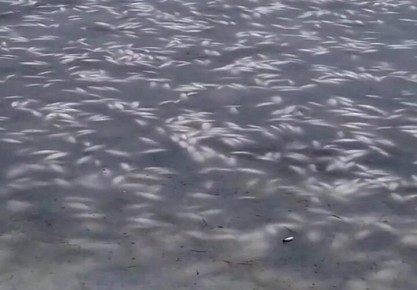 ������� ���� ���� ������� � ���� �� � ������������� ���� � ������ ������������