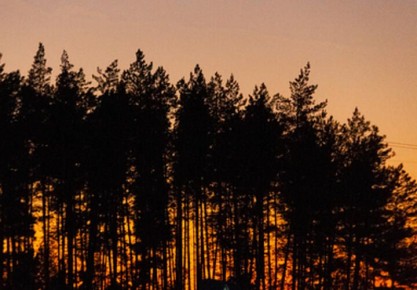 ���� ��������� ������������� � �������, 20 �����. �������� � ����� ���������