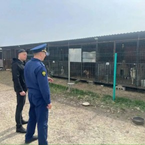 � ����� ��������������� ����������� ��������� ������������ ������ ��� ��������