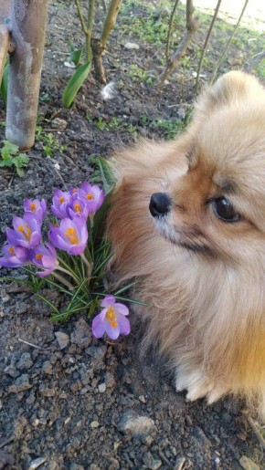 ������ ����, ������!. ��������� +12 ��