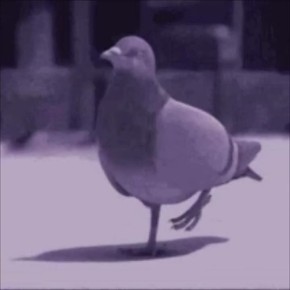 ����� �� 3 ���. ������ �������� ���, ��� �������� ������