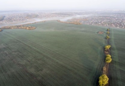 Что произошло в мире, пока вы спали