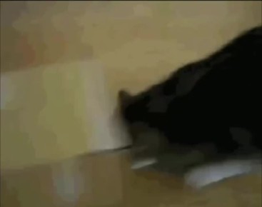 Сегодня - День валяния дурака