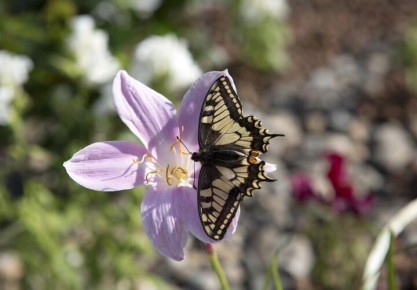 Как получить 11 дней отдыха подряд на майских?