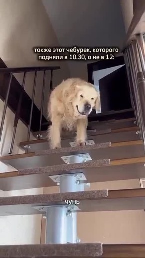 Да это же мы, когда на выходных встали раньше 12 дня