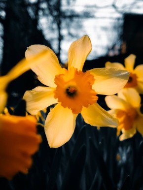 �������� ����� �������� ���� ��������� ������