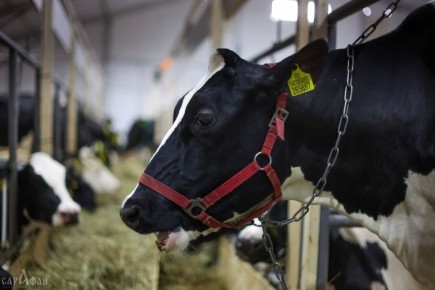 ��������� ������ ������ ������� ��������, ����� ��������� ��������� �����