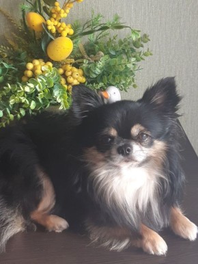 ������ ����, ������!. ��������� +7�+14��