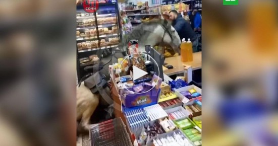 ���� ������� ������� � ������� �� ���� � �������� ������