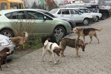 �������� ����� ����� ������ � ��������� � �� ����������