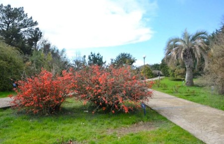 Доброе утро, любимый город!