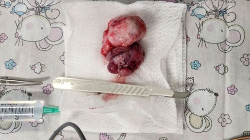 ������ ������� ������ ������� ������� � �������� � ����������