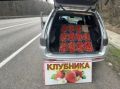 На обочинах трасс появились первые «клубничники»