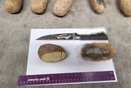 ����� 72 �� ������, ���������������� ��� ���������, �������� ��������� � ������ �� �����������