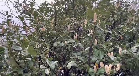 � �� ��� ������������� ���� ������ �� ������?