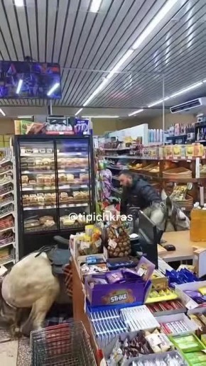 ������ �� ����� ����, ���������� � ������� �� ������� ������, ����