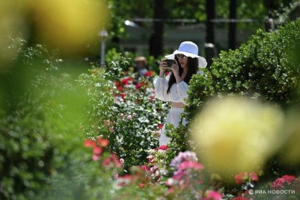 ������ �������: ��� � ������������� �������� �������� ��������