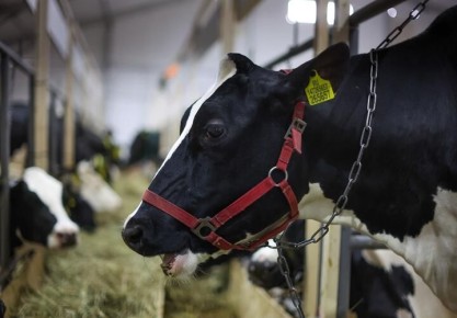 �� ������� ���� �� ������ ��������: � ������������� ���� ������ ���� ������������� ������ ���������������� ��������