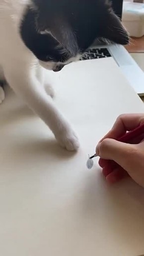 ����� �������!. ������� ������� � ��������� �� � MAX