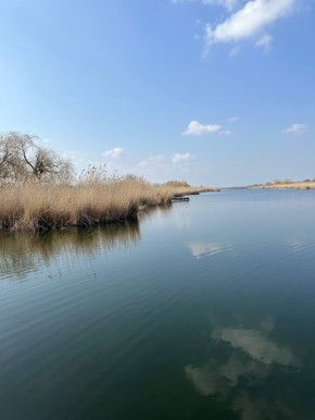 � ������ �� 26 ����� . � ������������� ���� ������� � ������������