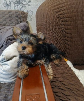 ������ ����, ������!. ��������� +13 ��