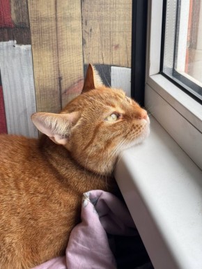 ������ ����, ������!. ��������� +15 ��